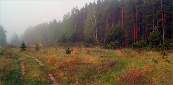 Утром на опушке леса / Первые весенние туманы