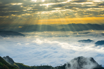 &nbsp; / Crepuscular sun rays during sunrise over mist or foggy mountain at Phu Chi Dao Chaing Rai province, Thailand