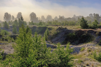 После рассвета / Утром после рассвета при свете солнечных лучей. Проходящий и рассеивающийся туман. Вдали плывущий туман, и деревья и кустарники в облаке тумана.. Овраг на переднем плане, а за ним немного туманно..