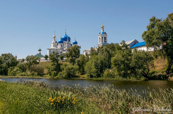 Боголюбово. Боголюбский женский монастырь. / ***