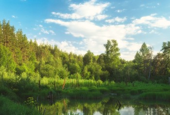 болотце / Южный Урал