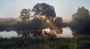 Летним утром / На речке в окрестностях села Заречного