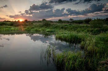 Предрассветное / Предрассветное