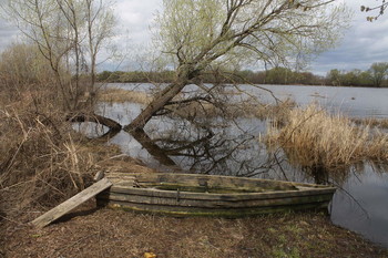 Весенний пейзаж в Луховицком районе (Московская область) / Весенний пейзаж в Луховицком районе (Московская область)