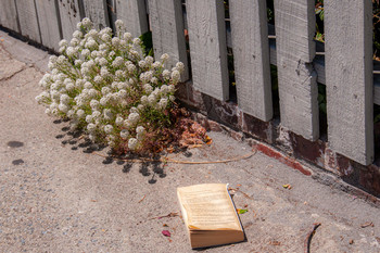 Бульварный роман / ...