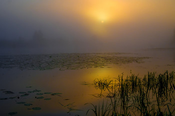 Сквозь туман. / Туманное утро на озере Сосновое. Мещера.