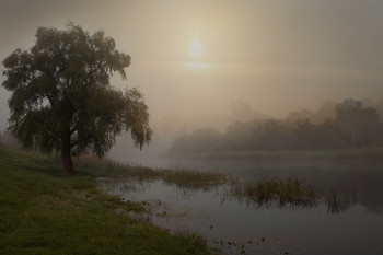 Айдар / утро,туман,река Айдар