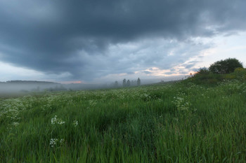 Июньские туманы / ***