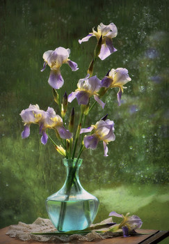 Ирисы / 2021