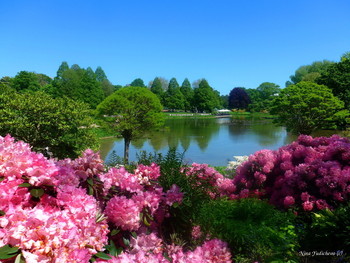 Planten un Blomen Hamburg / Слайд-шоу "Парк цветов летом"
https://www.youtube.com/watch?v=glVWjqRqZr0
Слайд-шоу "Парк цветов весной"
https://www.youtube.com/watch?v=kJVKlWcQxCg
Слайд-шоу "Парк цветов осенью"
https://www.youtube.com/watch?v=_Q7gRXGUa5A
Слайд-шоу "Розы"
https://www.youtube.com/watch?v=2jSTxDgGqsI
Слайд-шоу "Цветы"
https://www.youtube.com/watch?v=JYadETNgWMY