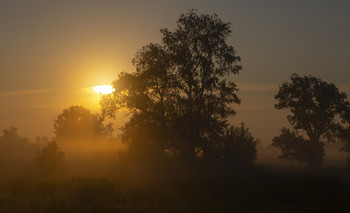 Рождение нового дня / утро,туман,солнце