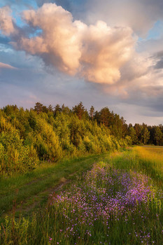 &nbsp; / Владимирская обл