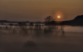 Магія ранку... / 28.03.2021. село Бірки, Чернігівщина.