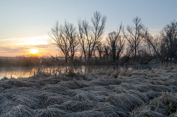 "У реки Корень" / С.Крапивное,Шебекинский район.