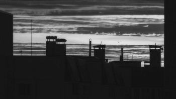 Буревестник / Описание*