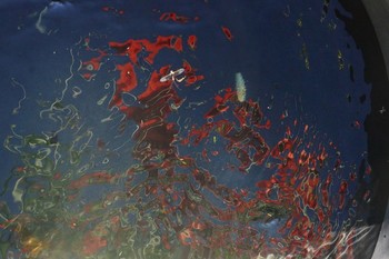 Если заглянуть на даче в бочку / Цветут маки