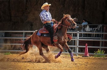 Про ковбоев и лошадок / West.Israel