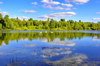 И облака купаются... / Лебединое озеро