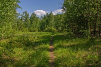 &nbsp; / Моё Забайкалье.