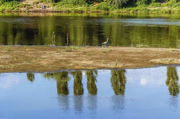 На острове / Полоса мелководья на реке. Остров и птица. Цапля на реке.. Противоположный берег полосой и рыбак. Утром на реке в июне. На рыбалке..