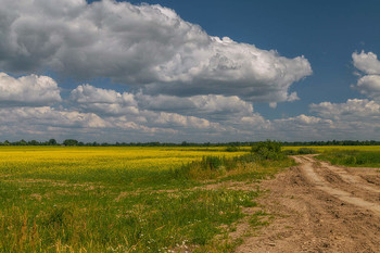 Эх!! Дороги.... / ***