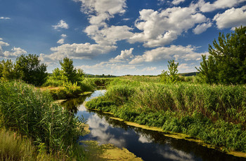 Середина лета / Лето 2020