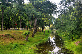 &nbsp; / летний вечер