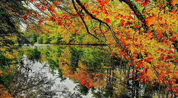 Конец октября ... / Река Соучеган в городе Меримак - New Hampshire - USA .