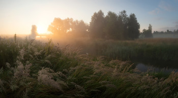 Начинался летний день / Июльское утро