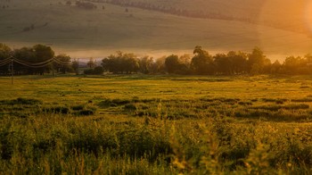 &nbsp; / Предзакатный туман.