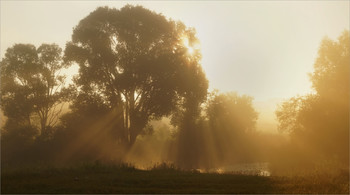 Летним утром / Туман над речкой