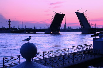 Утренний летний Питер / Дворцовый мост
Разводной мост через реку Неву в Санкт-Петербурге. Соединяет центральную часть города и Васильевский остров. Длина моста - 250 м, ширина - 27,7 м.