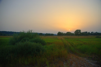 &nbsp; / дорога через луг