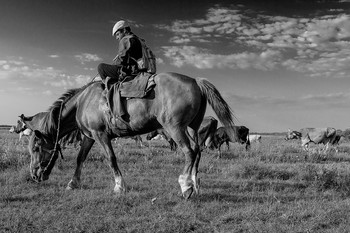 Стадо... / Деревенское стадо под присмотром.