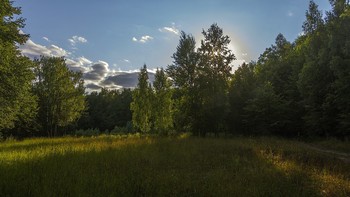 Летним вечером / Июль