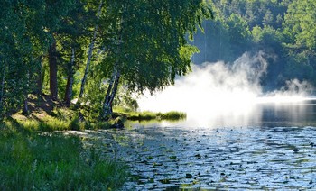 Утро на озере.......... / Петербург-Юкки. Июнь