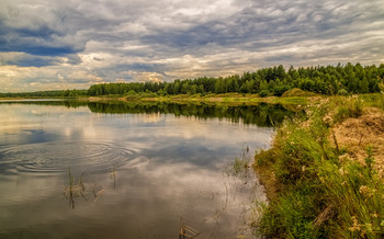 Озеро в лесу, перед дождём # 03 / 25 июля 2021. Дальний восток, Московской области, Дрезна..