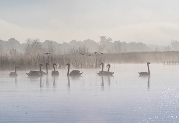 В укромном уголке природы / ***