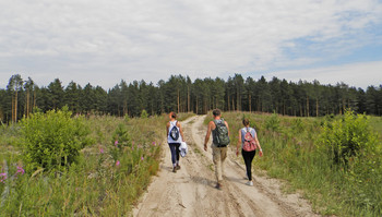 По дороге с облаками / Лето, хорошая погода, прогулка с детьми в окрестностях Томска