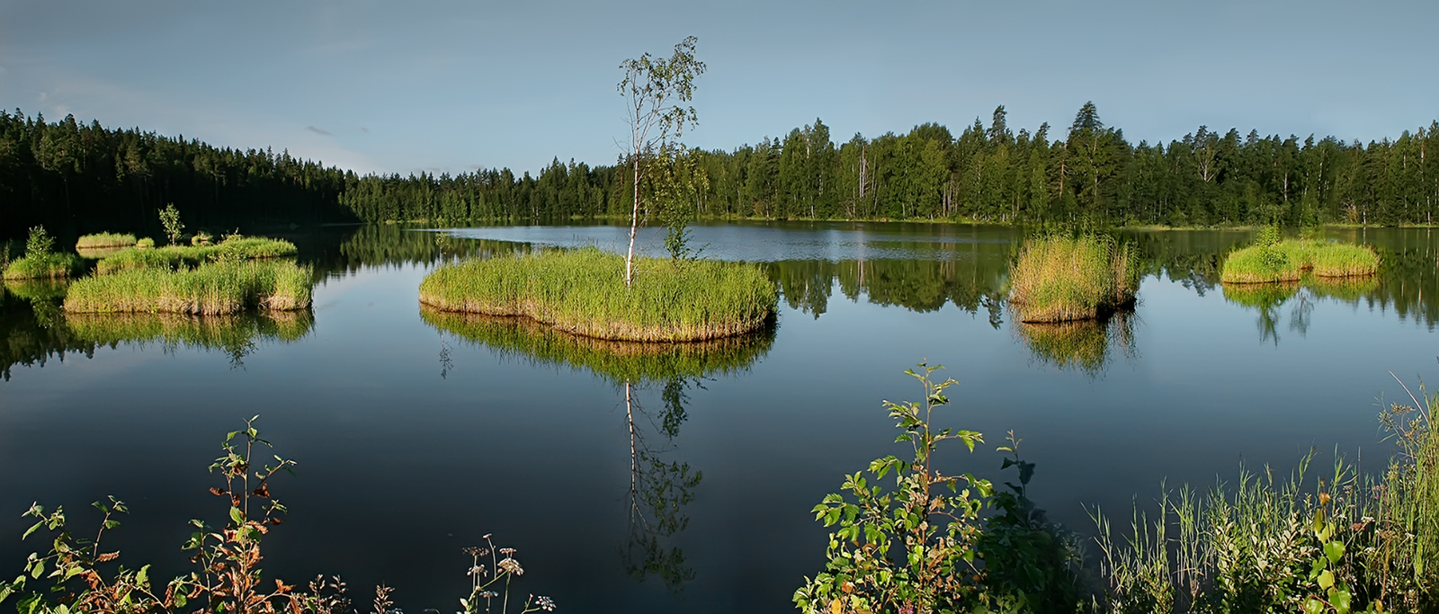 Озеро здесь шире. Озеро шайтан Кировской области дрейфующие острова. Плавучие острова озеро шайтан. Озеро шайтан Кировской области плавающие острова. Озеро шайтан островки.