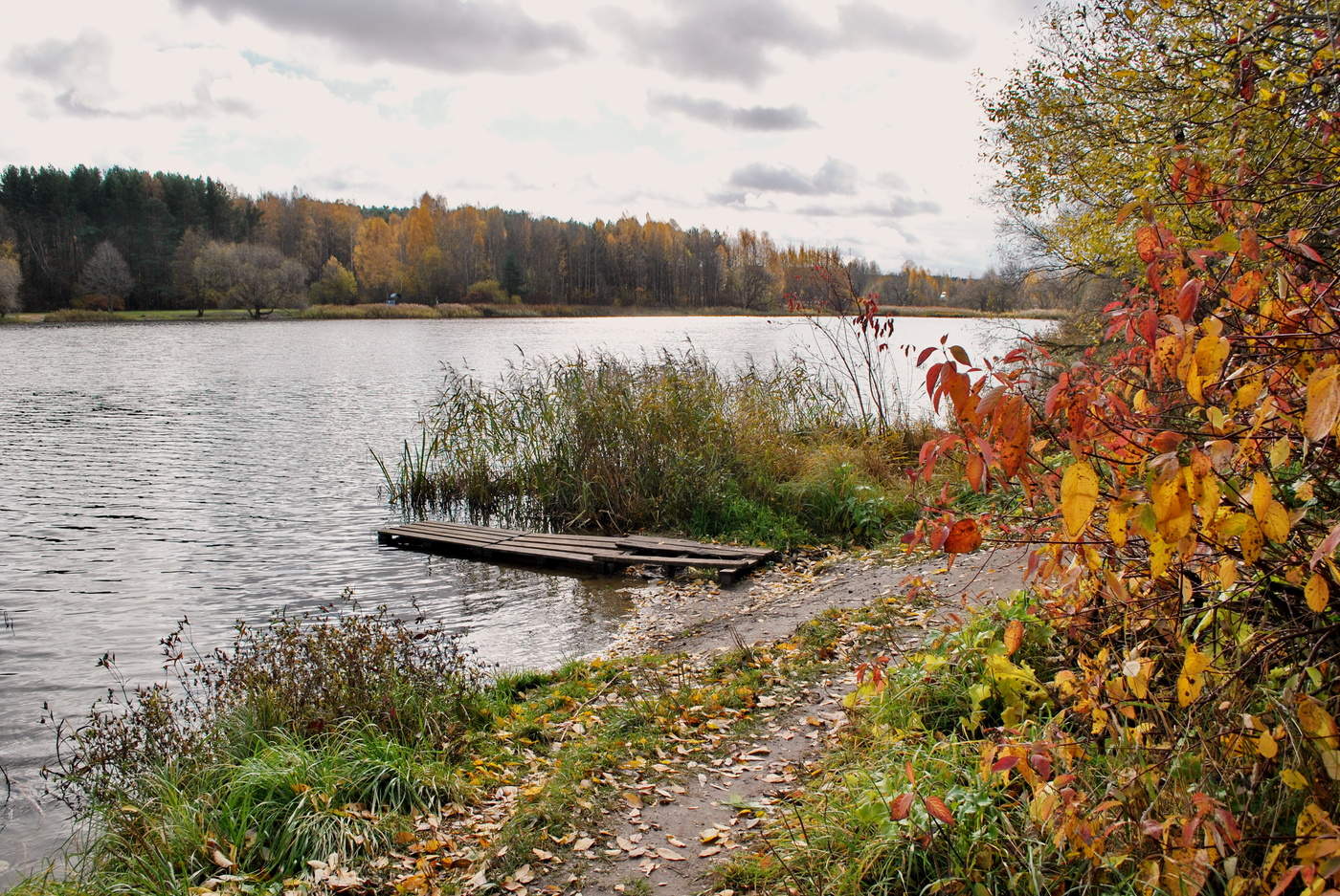 Осень берег