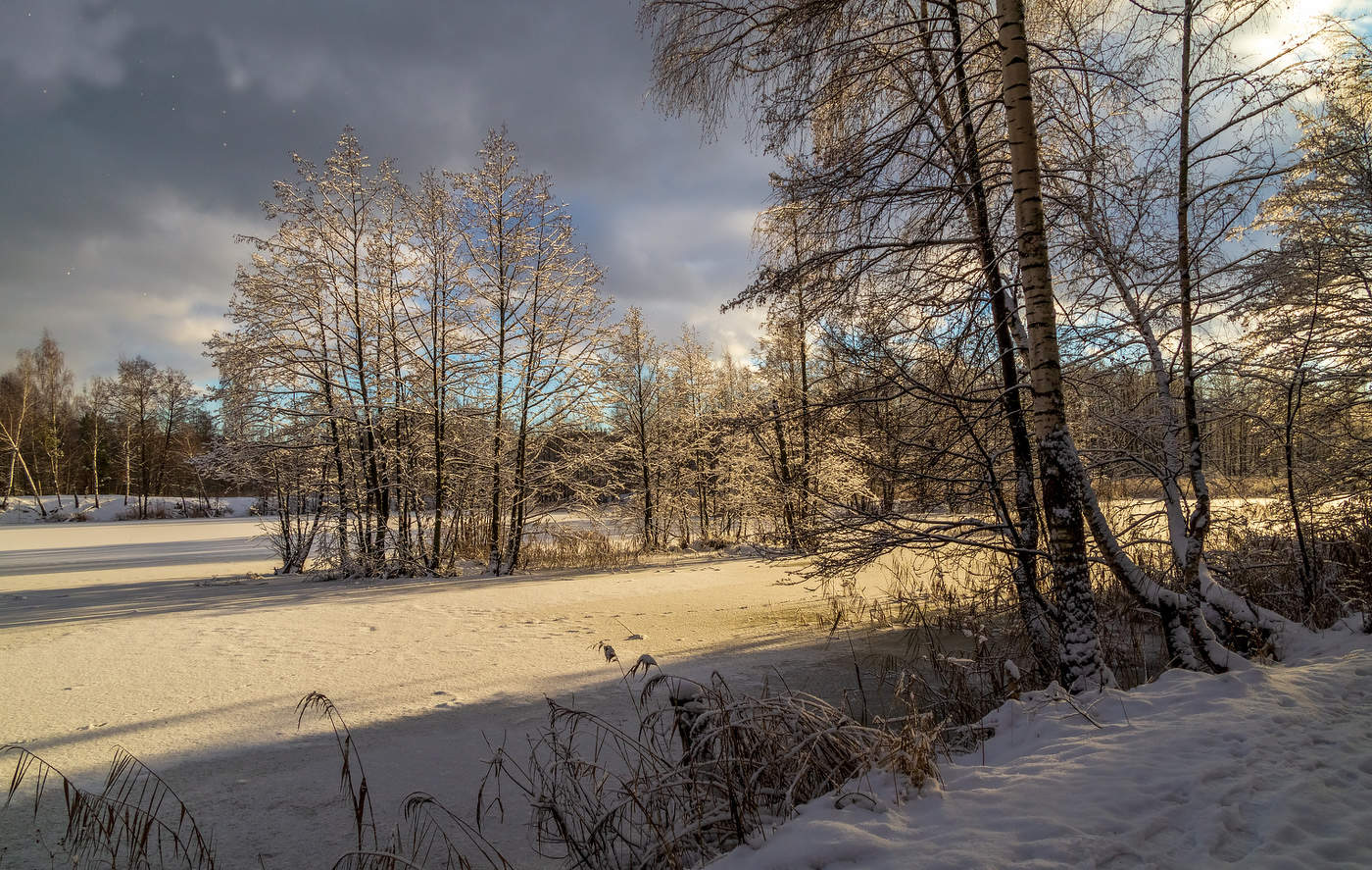 Подмосковная зима. Зимний подмосковный вечер. Зимний подмосковный лес фото. Восточное Подмосковье.