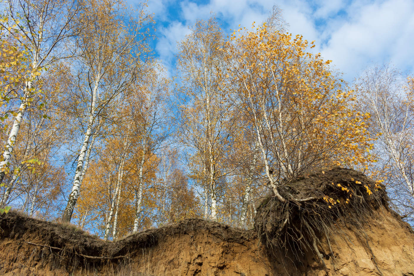 Октябрь землю. Весенние фотографии. Весенние картинки. Весна. Весна картинки.