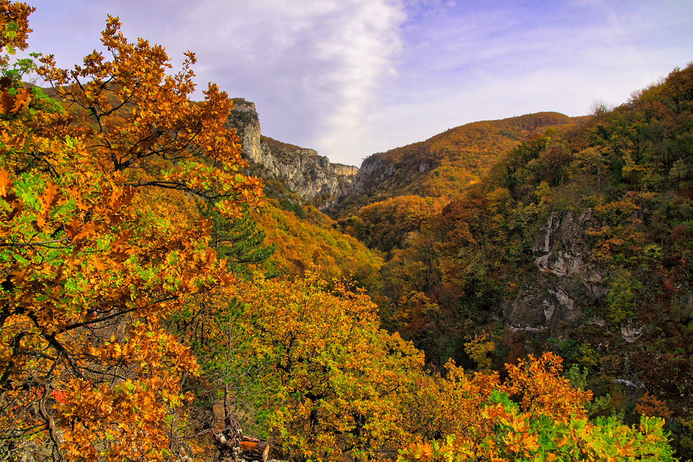 Заповедник крыма ялта