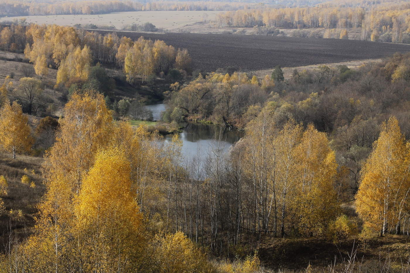 Зарайский Район Фото