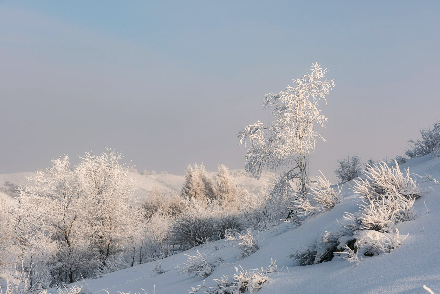 буготакские сопки зимой. торгашинский хребет красноярск зимой. зимние сопки в приморском крае. зима холодная и сухая снега на сопках. зимний пейзаж сахалина.