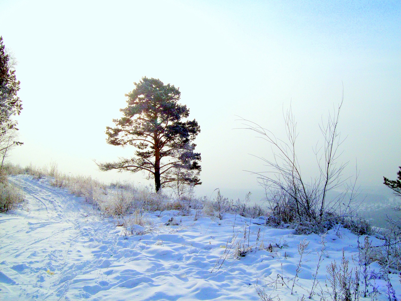 Погода зиме иркутской области на 10 дней. Сибирь зимой. Зима в Сибири. Зима Иркутская область. Тундровый пейзаж зимой.
