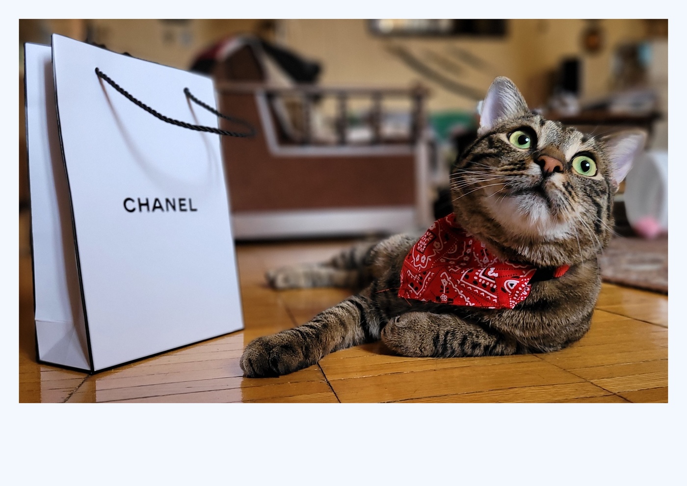 Турист спрашивает дорогу. Девушка говорит. Девушка шепчет на ухо. Купи что нравится. Подскажи фотки.