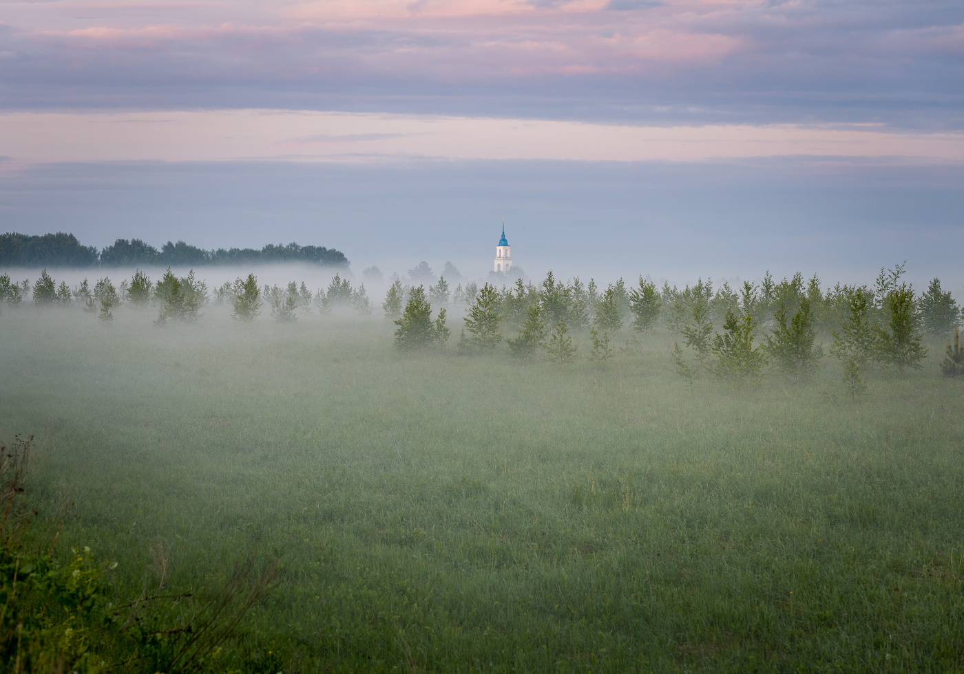 туманами 2022