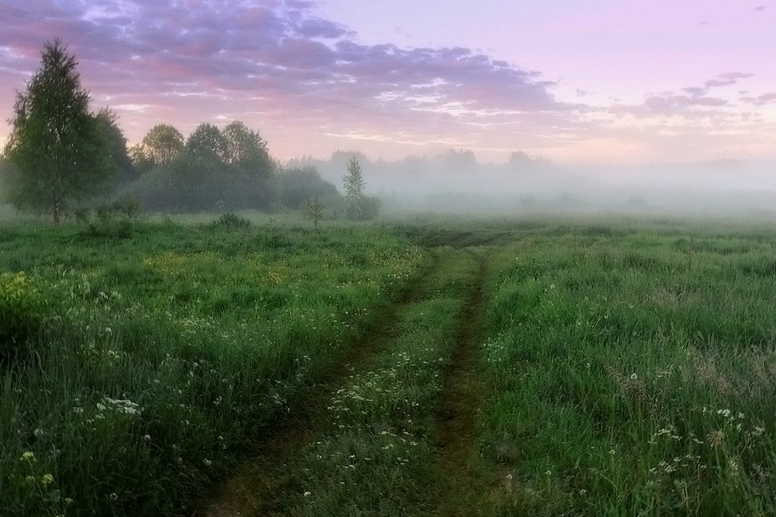 Стелется туман песня